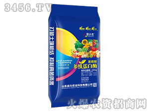 ȫ�I�B(y��ng)׷�_��-��С��-�����r(n��ng)�I(y��)