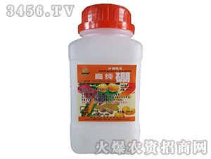 �߼���-�嵤�(y��ng)