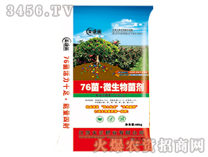 76����΢�������-�����R-�����ʘI(y��)