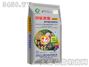 ���������ȩ��ጷ���18-16-8-��������