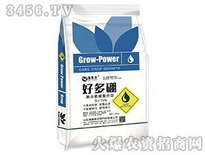 �ö���-���P��-���Wɭ