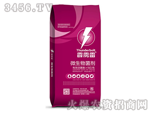 ΢�������-���Z��-�{(l��n)������