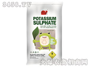 �����-˹��(l��)��-�|�r(n��ng) 