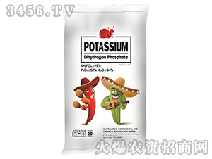 ��������-˹����-�|�r(n��ng)