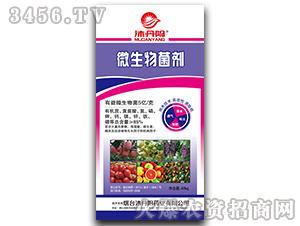 40kg΢�������-�嵤�