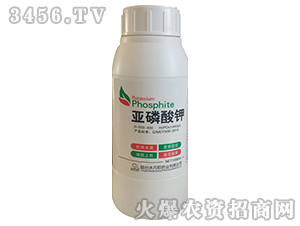 �������-�嵤�(y��ng)