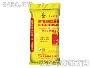 ���ȩ��ጏ�(f��)�Ϸ�26-12-12-�������-����ʘI(y��)