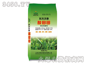 ΢�������-������-��̩����