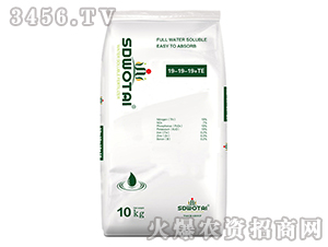 ����Ԫ��ˮ�ܷ���19-19-19+TE-��̩����