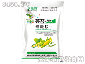 �|̦�f���@-�ָ���-�|���r(n��ng)�I(y��)