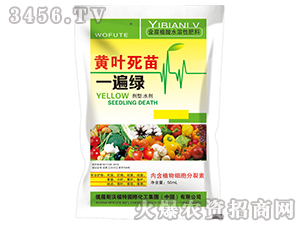 �S�~����һ��G-�|���r(n��ng)�I(y��)