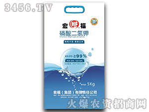 ��������-�긣-�Y�����F(tu��n)