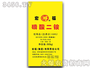 64%������@-�긣-�Y�����F(tu��n)