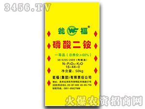 60%������@-�Y�����F(tu��n)