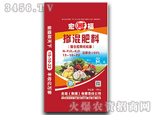 �ߝ�ȓ����19-10-22-�긣-�Y�����F