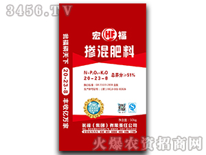 �ߝ�ȓ����20-23-8-�Y�����F