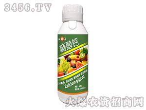 �Ǵ��}-���S����