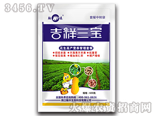 �����߮a(ch��n)�I�B(y��ng)�����ײ�-��������-���S����