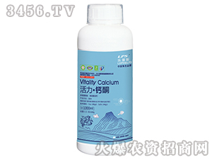 �������}ͪ(200ml��1000ml)-����˹-�Θ��ʘI(y��)