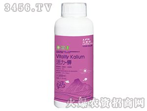 �������(200ml��1000ml)-����˹-�Θ��ʘI(y��)