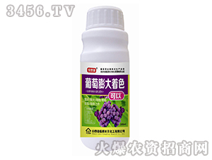 ���������ɫ-�G�ٲ�-�L�S