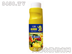 ����Ě����ɫ���I�B(y��ng)��-������-�L�S