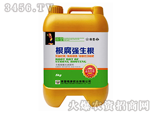 ������(qi��ng)����-Ӣ��-�L�S