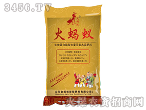 ���ﵰ��ø�ʹ���Ԫ��ˮ�ܷ���-��Λρ-��Λρ