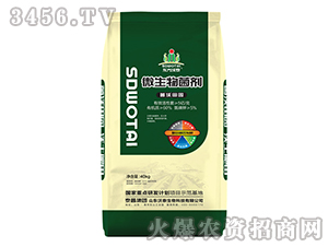 ΢�������-������@-��̩����