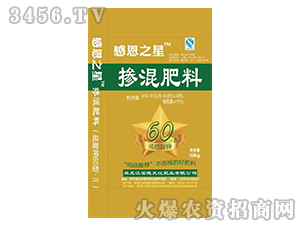 �������-�ж�֮��-���컯