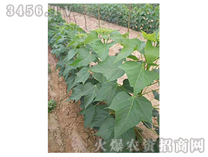 2020��鱘�ӆ�λ����(xi��ng)Ŀ7