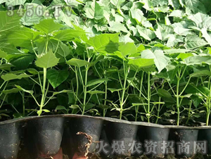 2020��鱘�ӆ�λ����Ŀ4