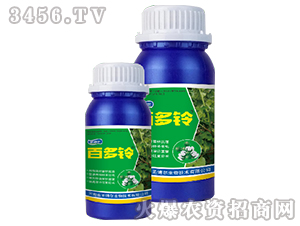 �׶��-ʥ����