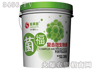 ��(f��)��΢�����-����-ʩ�M��