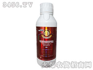 3%�װ������S���ر������}΢�鄩-����ɭ