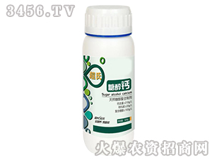 �Ǵ��}-����-ʢ�ļ�