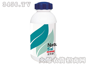 �}����-��(chu��ng)���r(n��ng)�I(y��)