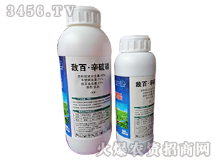 50%���١�����������-�W�ρ�