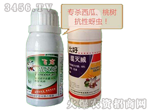 �����-�w��+�Ⱥ�-�W�ρ�