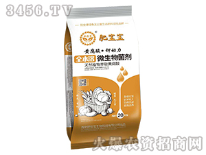 ȫˮ��΢����������S����-�S���ᡤ⛄���-�ʌ���