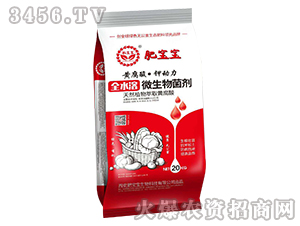 ȫˮ��΢����������t����-�S���ᡤ⛄���-�ʌ���