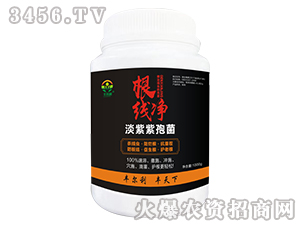 ���ξ��x�Ŀ���-������-�S����