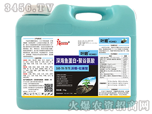 �ָ�����������~���ס��۹Ȱ���160-70-70+TE-�~��-�s��