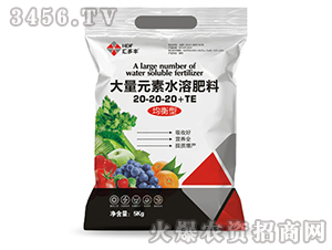 ����Ԫ�ؑҸ��ʾ�����20-20-20+TE-�R���S