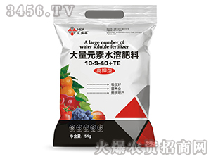 ����Ԫ�ؑҸ��ʸ����10-9-40+TE-�R���S