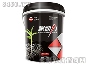 ������-�R���S