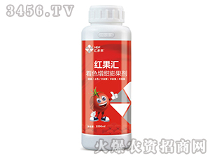 ��ɫ���������-�t���R-�R���S