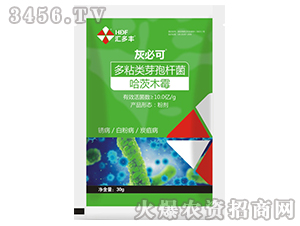 ��ճ�ѿ�ߗU������ľù-�ұؿ�-�R���S