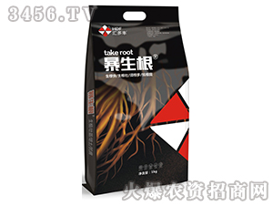 ������-�R���S