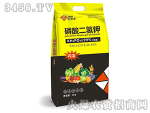 ��������-�R���S